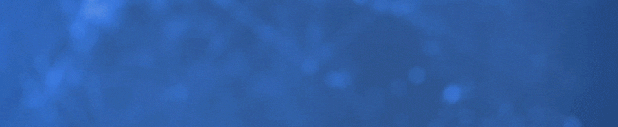66c850162f671.png